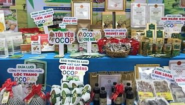 OCOP: Đòn bẩy chiến lược cho kinh tế nông thôn 2026–2030