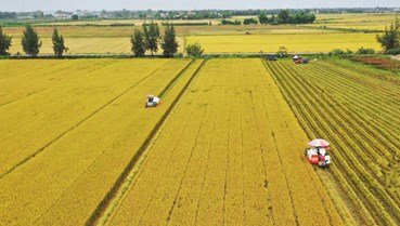 Nông nghiệp Việt tăng tốc, hướng mốc 100 tỷ USD