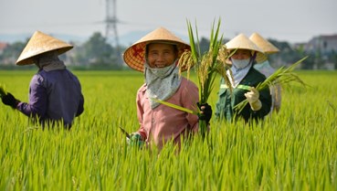 Định hình vị thế mới cho nông nghiệp Việt