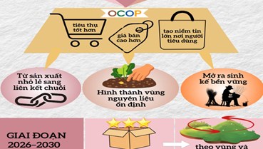 Hợp lực chính sách: Mở không gian phát triển mới cho OCOP và du lịch nông thôn