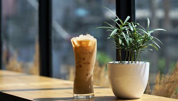 Trà sữa Shan tuyết: Hành trình từ di sản núi rừng Tây Bắc đến ly trà sữa thời thượng