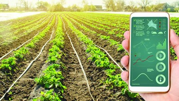  Blockchain và AI - chìa khóa đưa nông sản Việt chạm mốc 100 tỷ USD