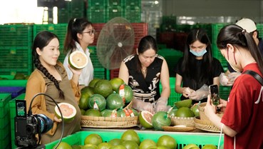 Vì sao nhiều nông sản vẫn "chật vật" trên sàn online?