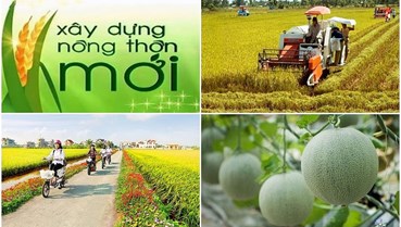 Định hướng phát triển kinh tế nông thôn trong giai đoạn mới