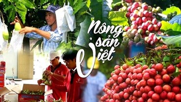 Tự hào Nông sản Việt 2026: Điểm hẹn kết nối 1.000 tinh hoa nông sản Việt