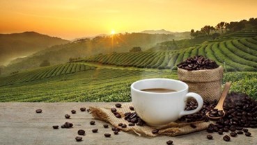 Cơ hội cho trà, cà phê Việt trong bức tranh đồ uống 2026