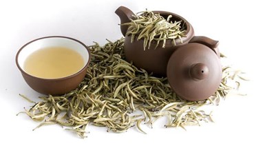 Trà trắng: Tinh hoa từ những búp trà non 
