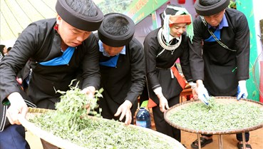 Dấu ấn Lễ hội "Miền Chè Di Sản" 2026