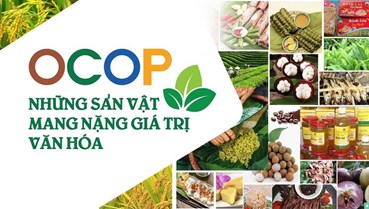 Từ phiên chợ quê đến sàn TMĐT: Sản phẩm OCOP và khát vọng vươn xa