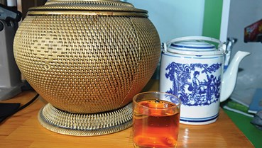 Chè cổ thụ xứ Cùa (QuảngTrị): Hương vị ký ức đọng mãi trên môi