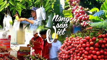 Nông sản Việt trên bản đồ xuất khẩu: Vượt rào cản, nâng tầm thương hiệu