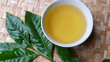 Chè Tây Côi Sơn: Chuyện kể từ những cành chè “bánh tẻ”