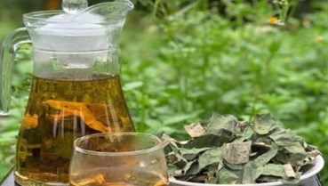 Trà thảo mộc: Bí quyết sống khỏe cho người cao tuổi mùa nắng nóng