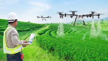 Nông nghiệp thông minh: Khi chuyển đổi số đến với ruộng đồng