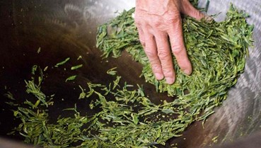 Sao trà thủ công: Chuyện của những người làm nghề trà