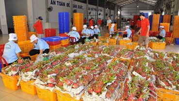 Trung Quốc vẫn là thị trường lớn của nông sản Việt