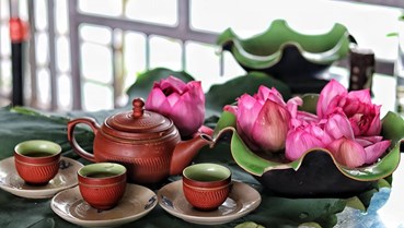 Trà sen và nghệ thuật thưởng trà của người Việt