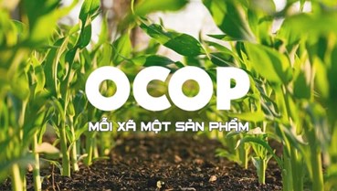 OCOP: Đánh thức tiềm năng từ những sản vật quê hương