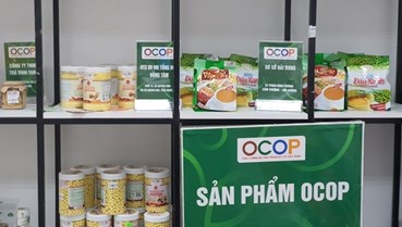 Đưa sản phẩm địa phương lên sàn số: Cơ hội cho OCOP, HTX và nông dân trẻ