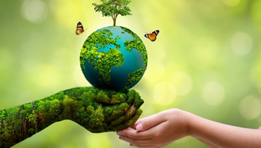 Làn sóng tiêu dùng xanh: Cơ hội hay áp lực cho nhà sản xuất?