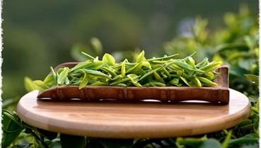 6 yếu tố ảnh hưởng đến hương vị và chất lượng trà