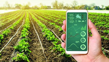 Nông nghiệp 4.0: Nông sản Việt bắt đầu cuộc chơi công nghệ