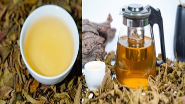 Trà Bancha Hà Giang: Thức uống tuyệt vời cho sức khỏe bền vững