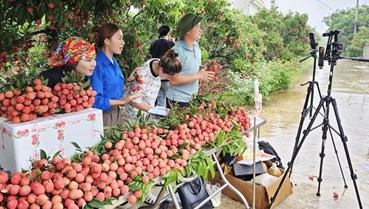 Nông sản và thương mại điện tử: Bắt nhịp hay bị bỏ lại phía sau?