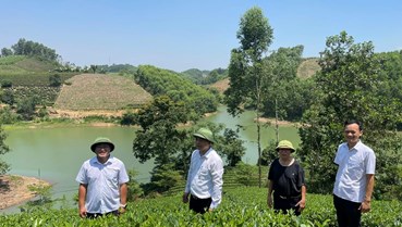Thái Nguyên: Chuỗi hoạt động “Trải nghiệm Vô Tranh - Dấu ấn xứ Trà” sắp được diễn ra 