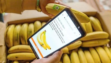 Sàn TMĐT nông sản: Đường ngắn nhất đưa đặc sản địa phương ra thế giới