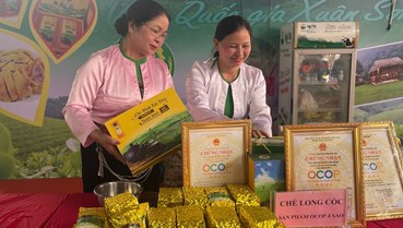 Liên kết chuỗi: Chìa khóa nâng tầm giá trị chè Tân Sơn