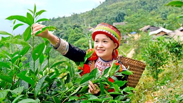 Nâng tầm thương hiệu nông sản từ trải nghiệm lữ hành