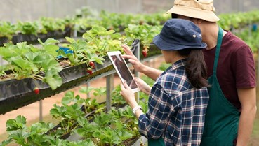 Nông nghiệp số và hành trình minh bạch hóa chuỗi cung ứng