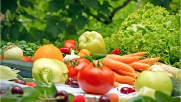 An toàn thực phẩm – Lá chắn cho thương hiệu nông sản