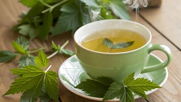 Giảo cổ lam: Thảo dược "nhân sâm phương Nam" và những công dụng sức khỏe vượt trội
