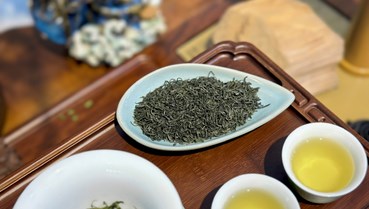 Ảnh hưởng của chiều cao cây chè đến chất lượng búp và hậu vị trong sản xuất trà đinh