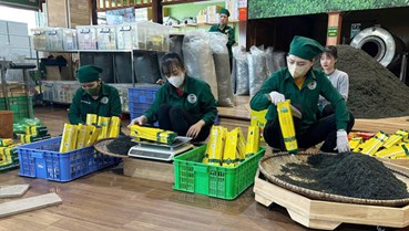 Thái Nguyên đẩy mạnh sản xuất chè sạch: Hướng tới chuẩn hóa quốc tế