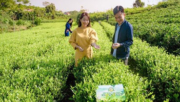 Hiểu đúng về chè sạch: Quyền lựa chọn nằm trong tay người tiêu dùng