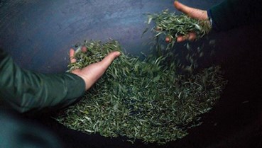 Giữ lửa nghề sao chè thủ công vùng cao