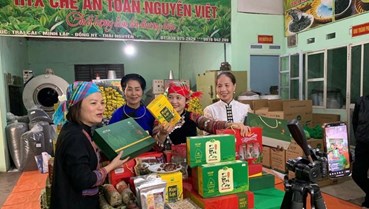 Ngành chè Thái Nguyên bứt phá nhờ công nghệ số 