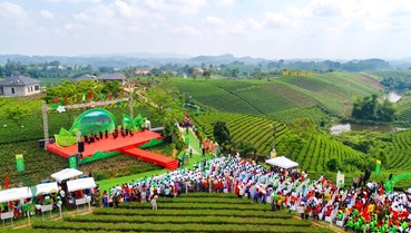 Thái Nguyên tăng tốc cho Festival Trà Quốc tế 2026: Đòn bẩy kinh tế và khát vọng nâng tầm thương hiệu trà Việt