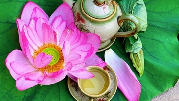 Thị trường trà sen Việt: Sự phân hóa phân khúc và bước chuyển mình đáp ứng thị hiếu hiện đại
