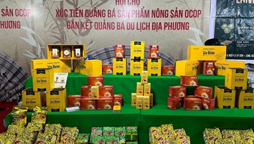 OCOP nâng tầm chè Việt trên thị trường quốc tế