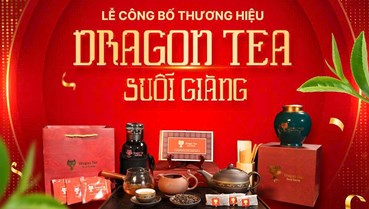 Dragon Tea Suối Giàng: Hành trình đưa trà Shan Tuyết vươn tầm thế giới