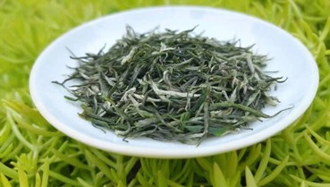 Tinh túy bốn mùa: Vì sao trà xuân và trà thu quý giá nhất?