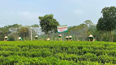 OCOP và công nghệ – Chìa khóa nâng giá trị nông sản Việt