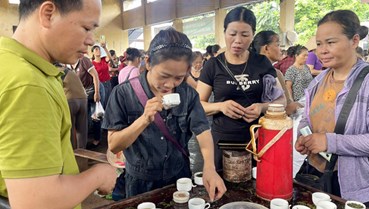 Chợ chè Trại Cài: Nơi giữ hồn trà giữa nhịp sống hiện đại