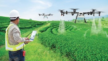 AI và thương mại điện tử: "Chìa khóa vạn năng" giúp nông sản Việt vượt rào cản, vươn ra toàn cầu