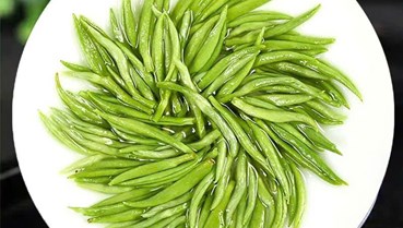 Trà Mao Tiêm – thương hiệu đất Quý Châu