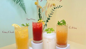  “Nữ hoàng giải khát” Kombucha lên ngôi